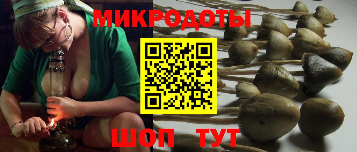 Псилоцибиновые грибы GOLDEN TEACHER  Вход с VPN  Галлюциногенные грибы мухоморы  Нижнеудинск 