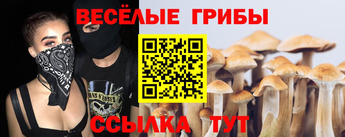 Псилоцибиновые грибы Magic Shrooms Нижнеудинск